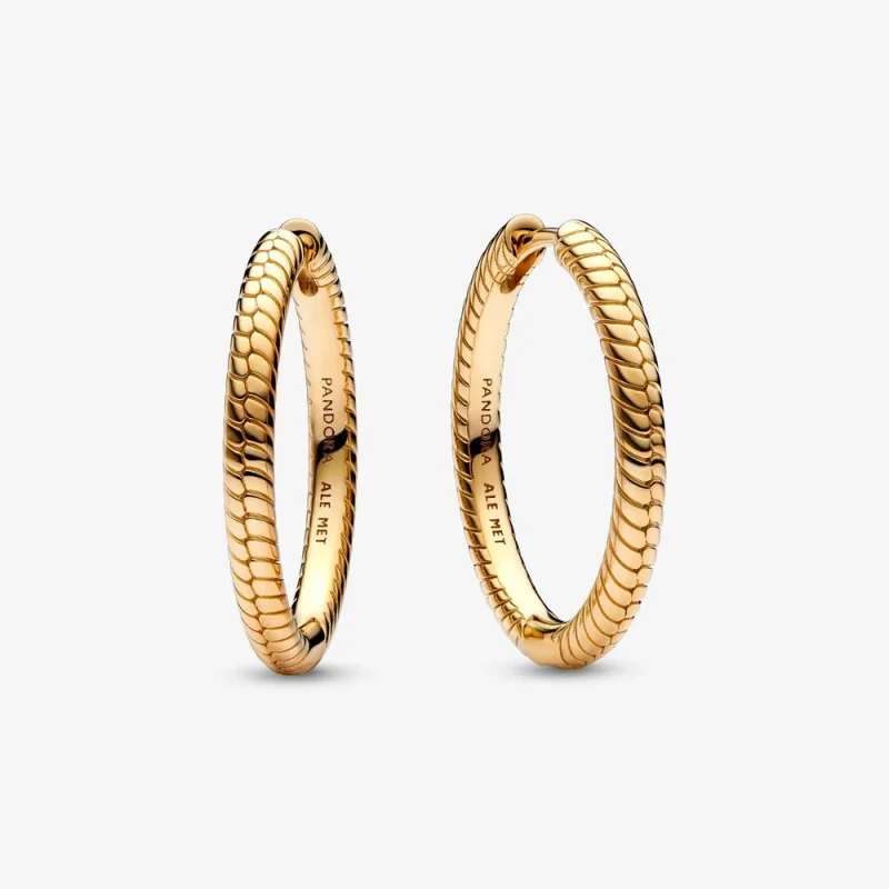 (изображение за) Обици с обици Pandora Moments талисманв Hoop - 269532C00