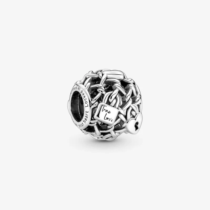 (изображение за) Талисман за катинар Pandora с ажурна верига - 790071C00