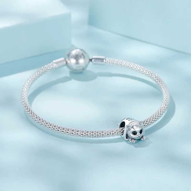 (изображение за) Талисман за уютна котешка къща в стил PANDORA - SCC2797 - Преглед 5