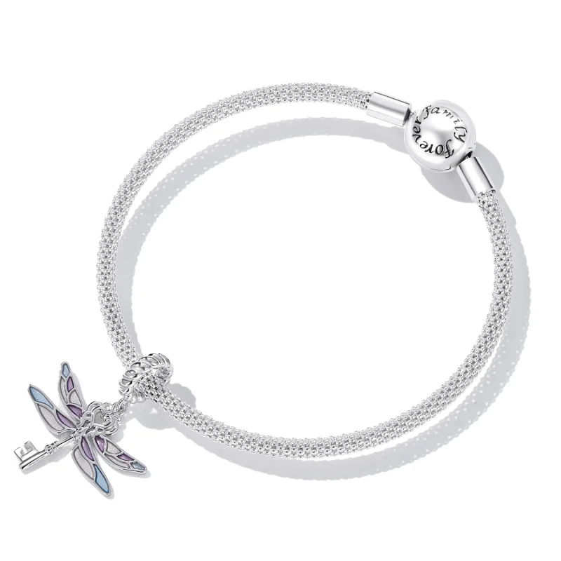(изображение за) Висулка с ключ с водно конче в стил PANDORA - BSC603 - Преглед 5