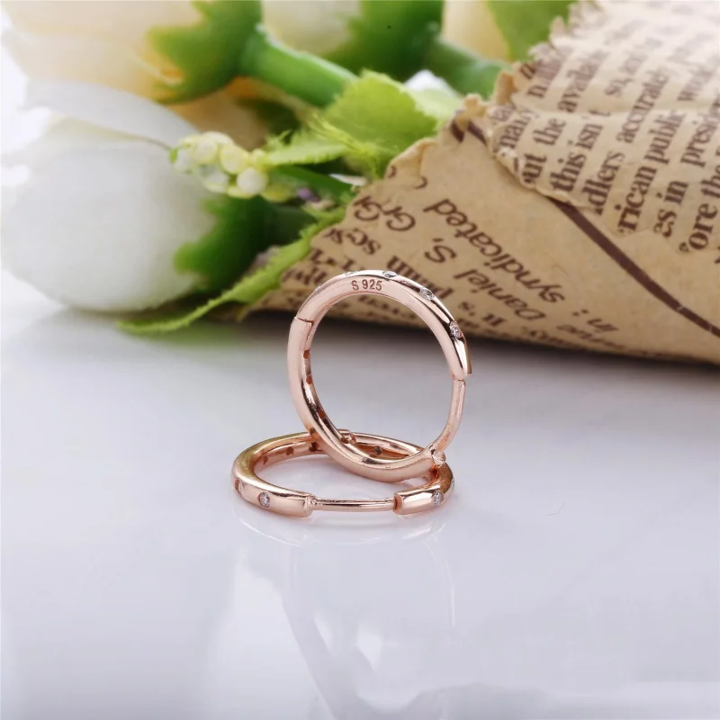 (изображение за) Капки - 286244CZ - Обици пандора - Преглед 2